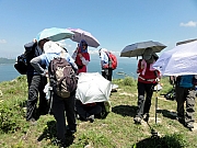 Thumbnail of P6300046.JPG