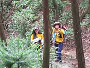 Thumbnail of pic_YL_Wong_032.JPG