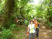 Thumbnail of pic_Wai_137.JPG