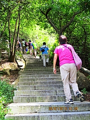 Thumbnail of pic_CC_Li_092.JPG