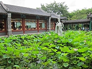 Thumbnail of pic_HK_Chan_020.JPG