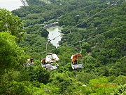 Thumbnail of pic_Wai_141.JPG