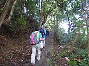 Thumbnail of pic_Wai_014.JPG