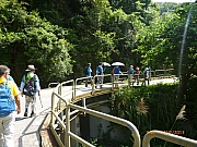Thumbnail of pic_Wai_030.JPG
