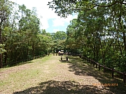 Thumbnail of pic_Wai_116.JPG