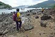 Thumbnail of pic_CC_Li_121.JPG