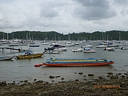 Thumbnail of pic_Wai_147.JPG