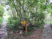 Thumbnail of pic_YL_Wong_021.JPG