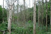 Thumbnail of pic_Billy_047.JPG