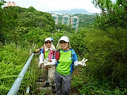 Thumbnail of pic_KC_Au_005.JPG