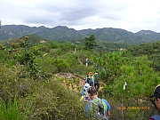 Thumbnail of pic_Wai_043.JPG