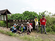 Thumbnail of P9010132.JPG