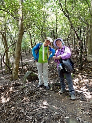 Thumbnail of P9080013.JPG