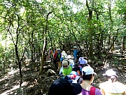 Thumbnail of P9080017.JPG