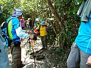 Thumbnail of pic_Amy_Fong_007.JPG