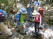 Thumbnail of pic_CW_Leung_016.JPG