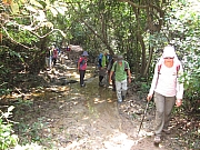 Thumbnail of pic_YL_Wong_006.JPG