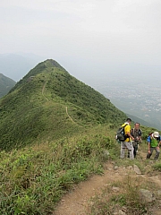 Thumbnail of pic_YL_Wong_046.JPG