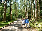 Thumbnail of pic_Wai_105.JPG