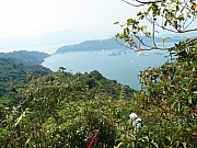 Thumbnail of pic_Amy_Fong_094.JPG