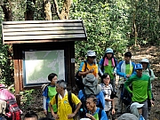 Thumbnail of PA270037.JPG