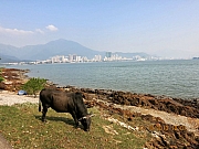 Thumbnail of pic_Eddie_Lui_036.JPG