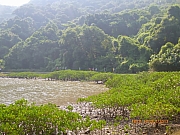 Thumbnail of pic_Wai_013.JPG