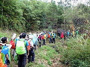 Thumbnail of PB100038.JPG