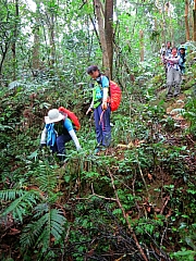 Thumbnail of pic_CC_Li_032.JPG