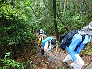 Thumbnail of pic_Thomas_133.JPG