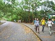 Thumbnail of pic_Wai_089.JPG