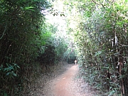 Thumbnail of pic_Billy_017.JPG