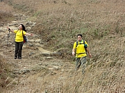 Thumbnail of PB240067.JPG