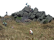 Thumbnail of PB240082.JPG