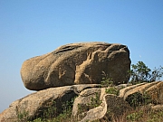 Thumbnail of pic_YL_Wong_044.JPG