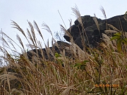 Thumbnail of pic_Wai_034.JPG