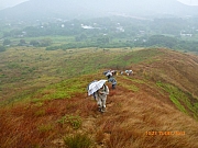 Thumbnail of pic_Wai_016.JPG