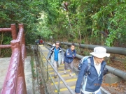 Thumbnail of pic_Wai_006.JPG