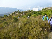 Thumbnail of pic_Thomas_Leung_086.JPG