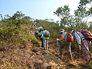 Thumbnail of pic_Wai_072.JPG