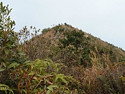 Thumbnail of pic_Amy_Fong_022.JPG