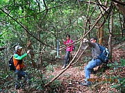 Thumbnail of pic_Eddie_Lui_021.JPG
