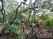 Thumbnail of pic_Thomas_Leung_026.JPG