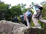 Thumbnail of pic_Thomas_Leung_031.JPG