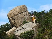 Thumbnail of pic_Thomas_Leung_102.JPG