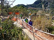 Thumbnail of pic_Thomas_Leung_171.JPG