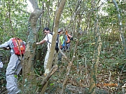 Thumbnail of pic_Wai_072.JPG