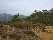 Thumbnail of pic_Wai_020.JPG