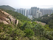 Thumbnail of pic_CW_Leung_019.JPG