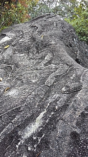 Thumbnail of 20140316-005.jpg